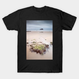 On Seacliff T-Shirt